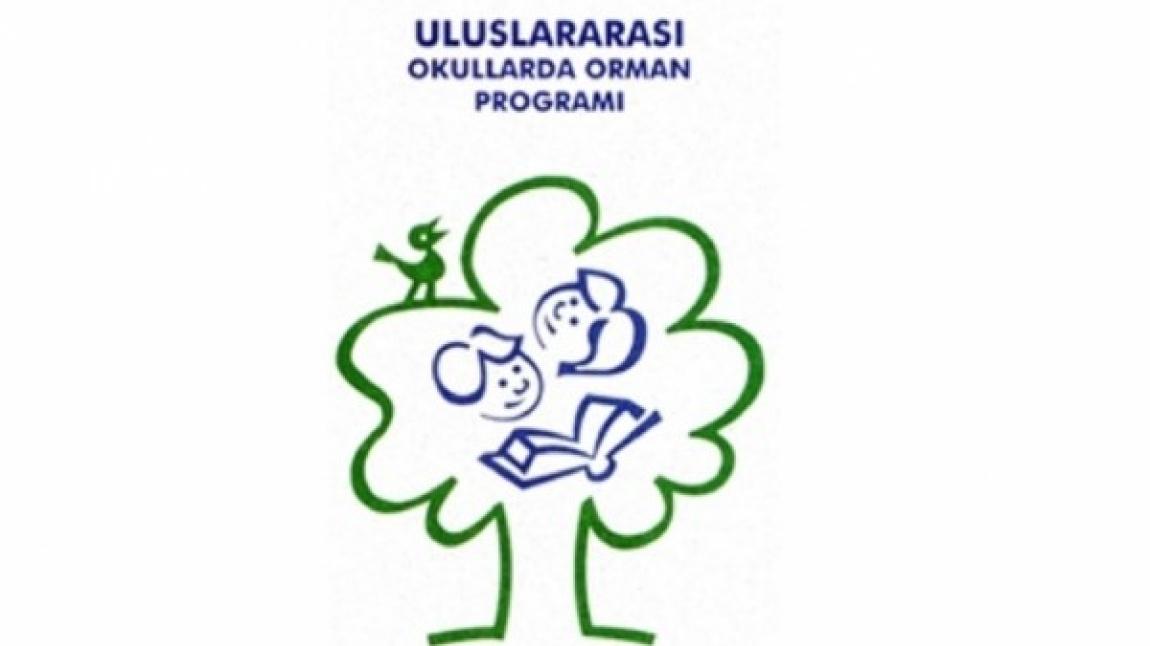 Okullarda Orman Programı Başlıyor